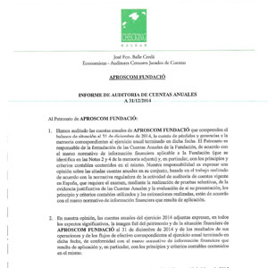 Portada Informe d'Auditoria